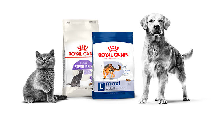 Royal Canin'de 1.000 TL ve üzeri alışverişlerde %30 indirim