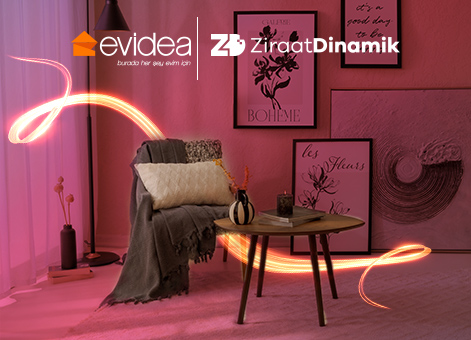 Evidea'da 300 TL indirim fırsatı