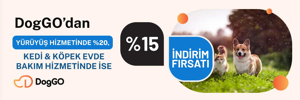 DogGo'dan %20'ye varan indirim fırsatı!