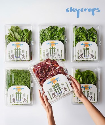 SKYCROPS’ta 150 TL değerinde Para Puan!