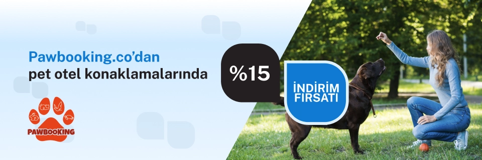 Pawbooking'den %15 indirim fırsatı!