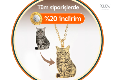 Petjew'den Moneylilere %20 İndirim