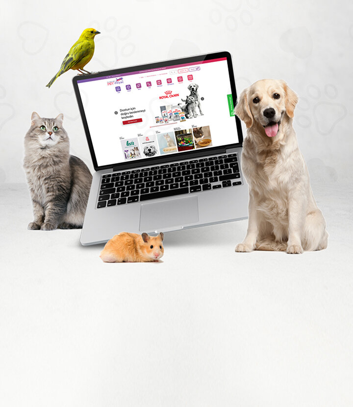 Petihtiyac.com'da 100 TL İndirim Fırsatı