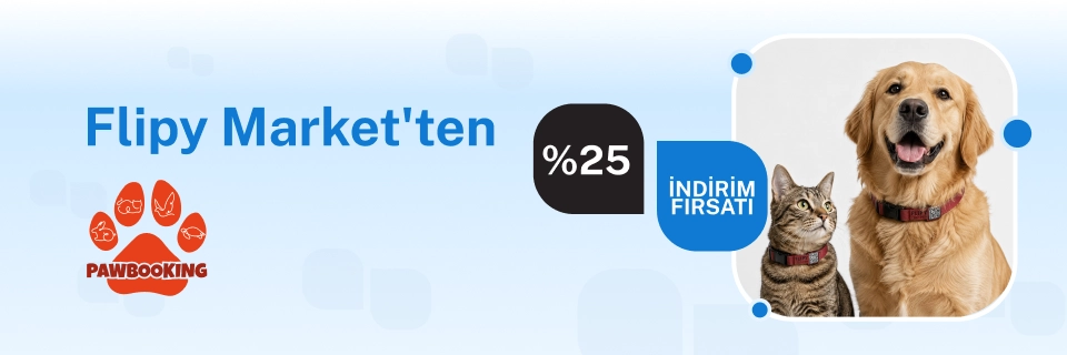 Flipy Market'ten %15 indirim fırsatı!